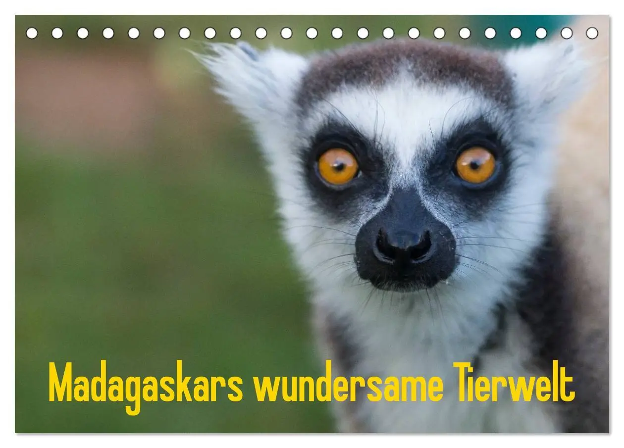 Cover: 9783516075557 | Madagaskars wundersame Tierwelt (Tischkalender 2026 DIN A5 quer),...