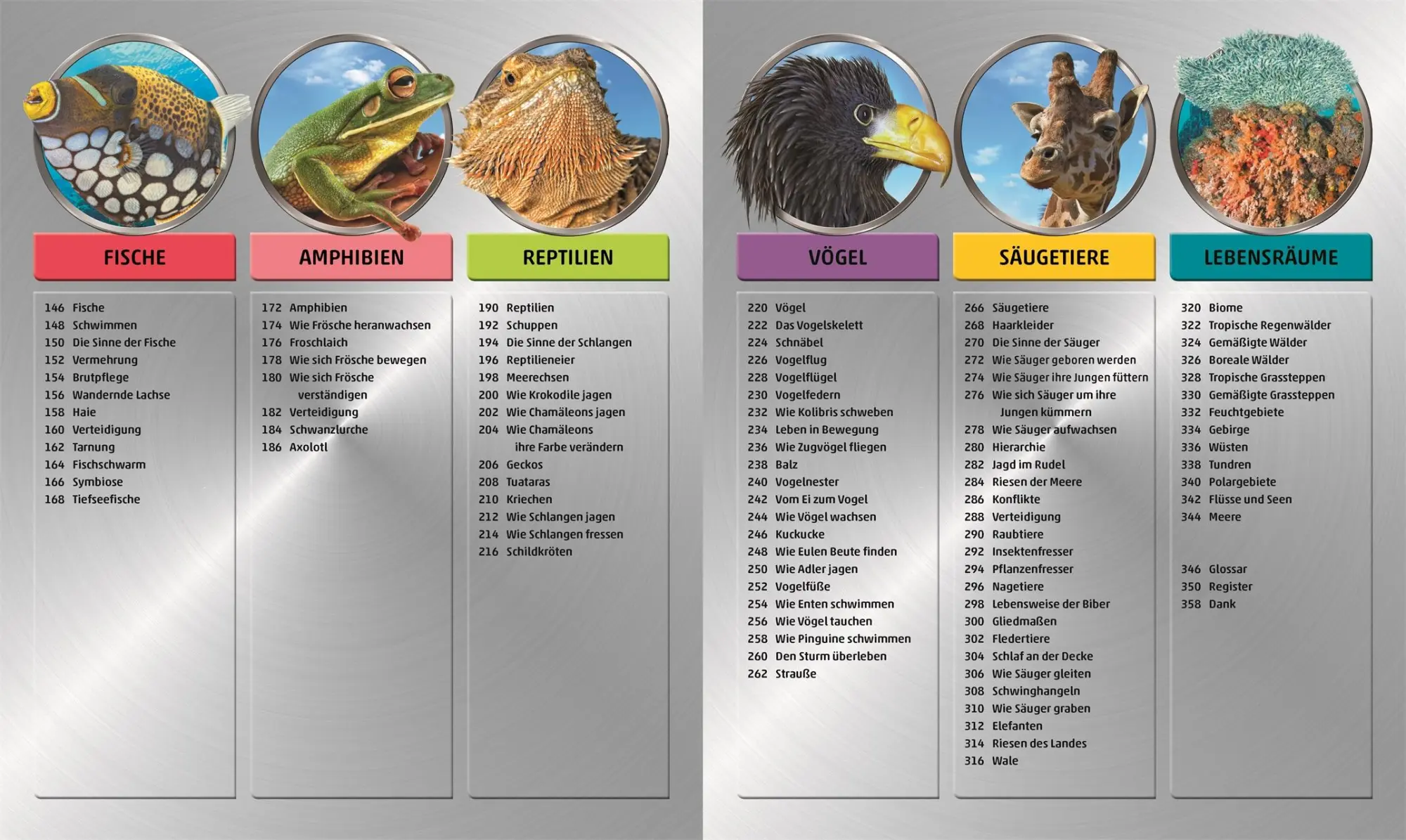 Bild: 9783831035557 | MegaWissen Natur | DK Verlag - Kids | Buch | Mega-Wissen | 360 S.