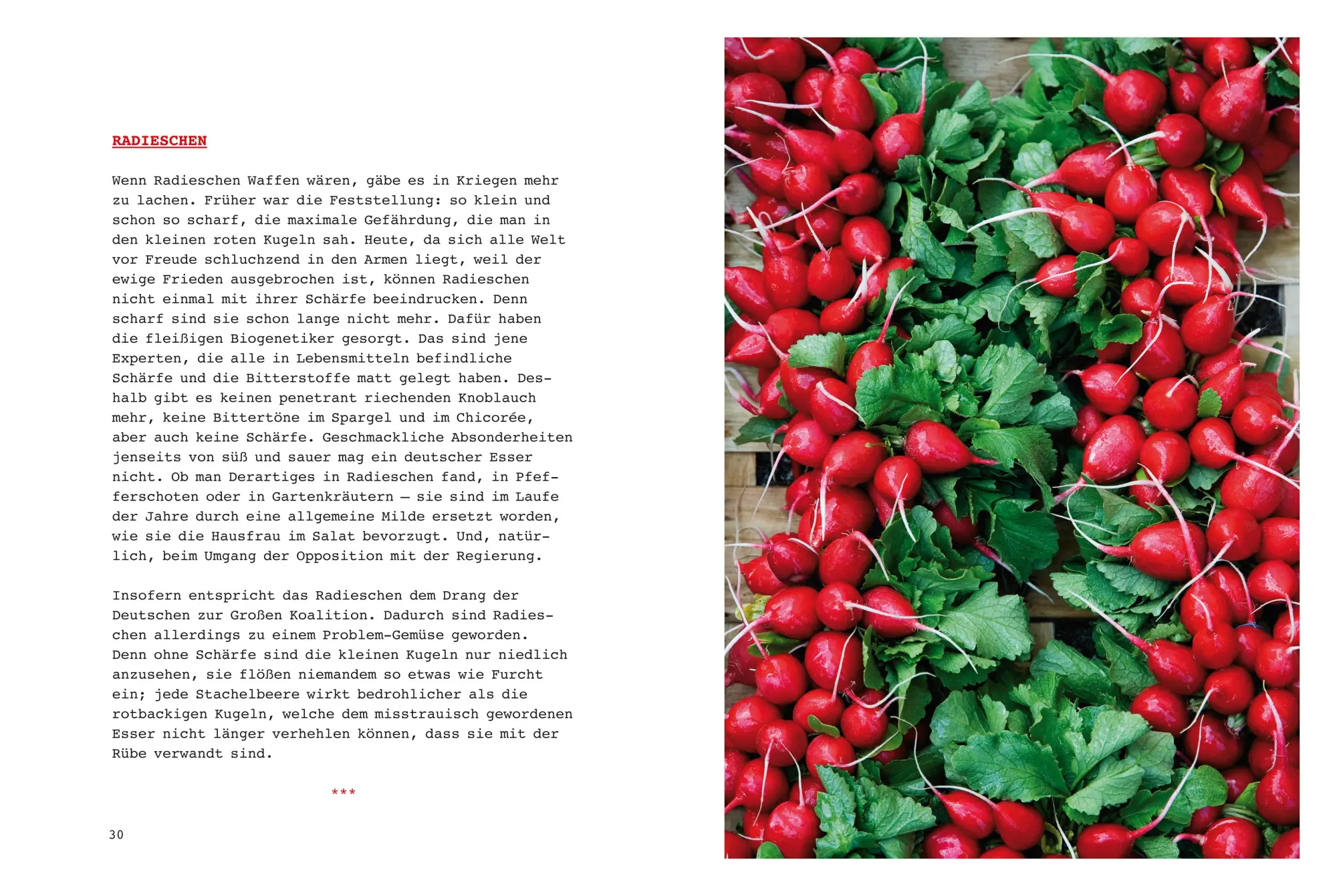 Bild: 9783898835657 | Siebeck. Kulinarische Skizzen | Wolfram Siebeck | Buch | 135 S. | 2016
