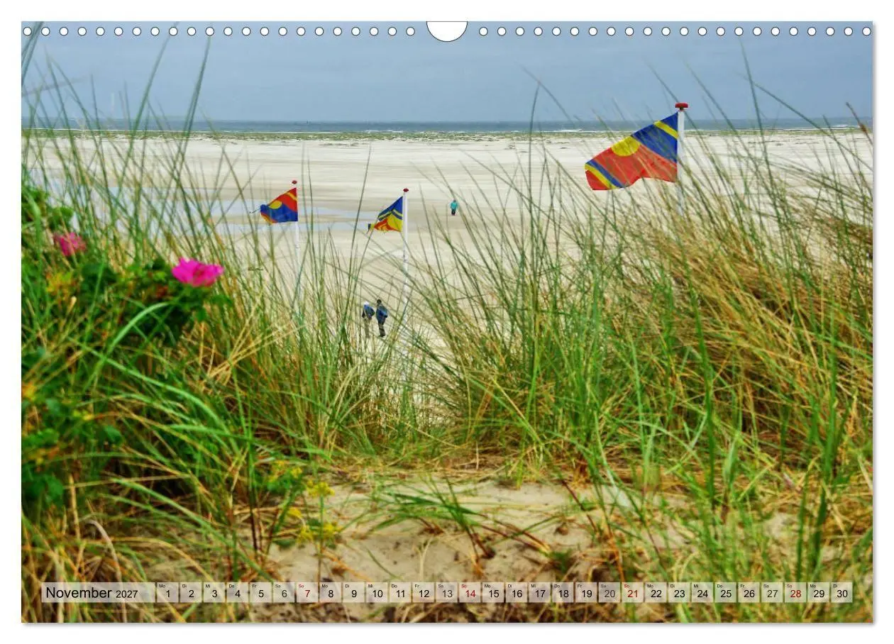 Bild: 9783569835757 | Typisch Amrum! (Wandkalender 2027 DIN A3 quer), CALVENDO...
