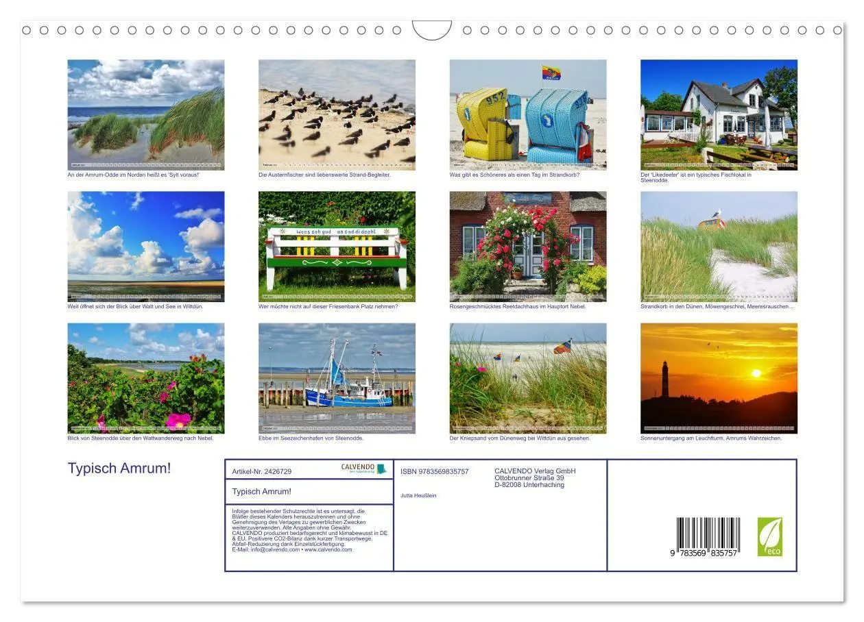Bild: 9783569835757 | Typisch Amrum! (Wandkalender 2027 DIN A3 quer), CALVENDO...