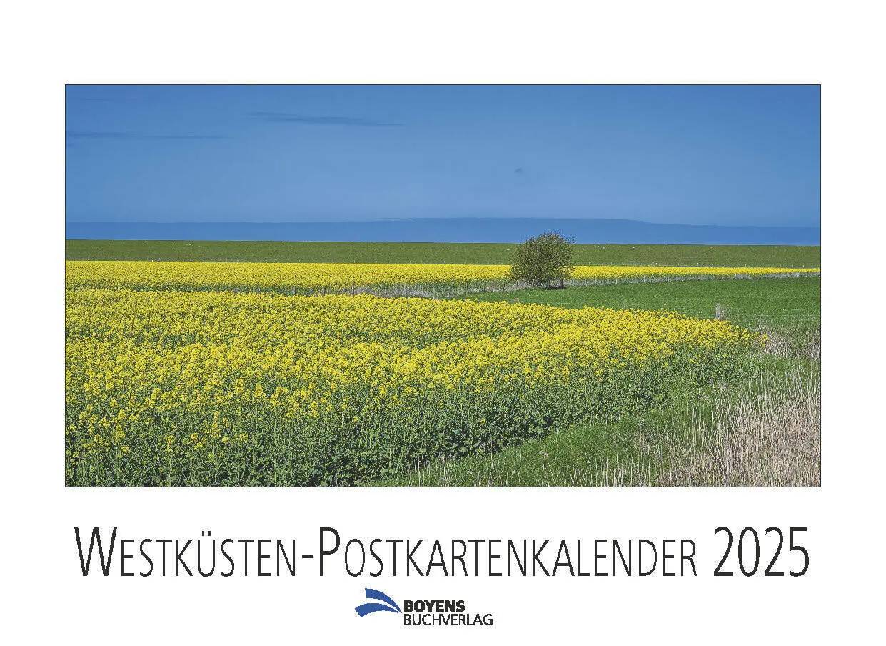 Cover: 9783804215757 | Westküsten-Postkartenkalender 2025 | Ingo Lau | Kalender | Deutsch
