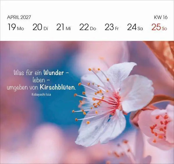 Bild: 9783819305757 | Gartenglück 2027 | Korsch Verlag | Kalender | 54 S. | Deutsch | 2027