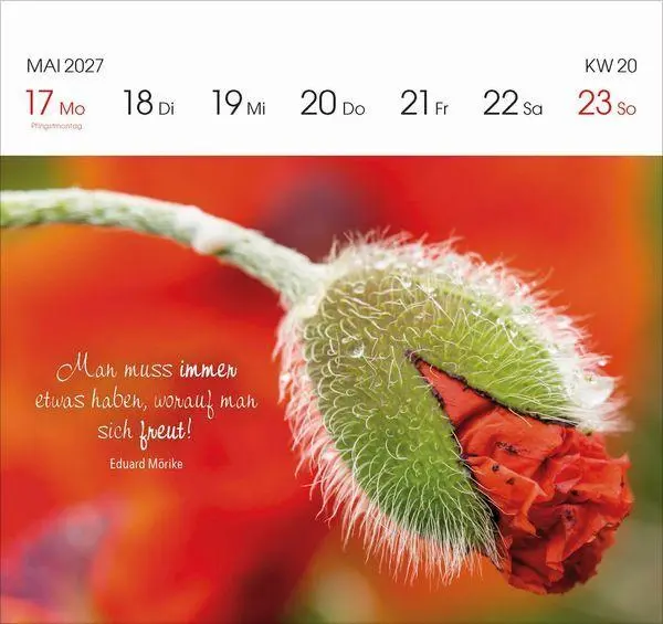 Bild: 9783819305757 | Gartenglück 2027 | Korsch Verlag | Kalender | 54 S. | Deutsch | 2027