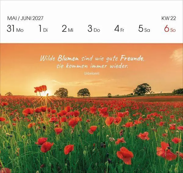 Bild: 9783819305757 | Gartenglück 2027 | Korsch Verlag | Kalender | 54 S. | Deutsch | 2027