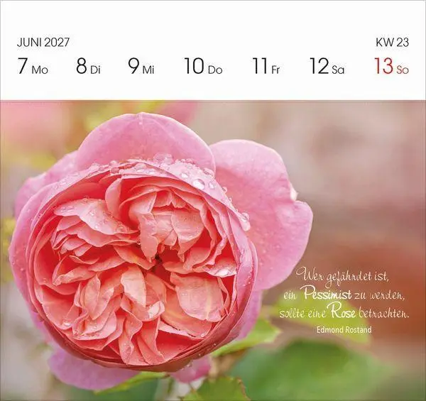 Bild: 9783819305757 | Gartenglück 2027 | Korsch Verlag | Kalender | 54 S. | Deutsch | 2027