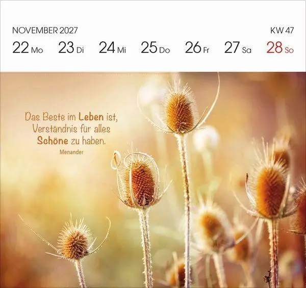 Bild: 9783819305757 | Gartenglück 2027 | Korsch Verlag | Kalender | 54 S. | Deutsch | 2027