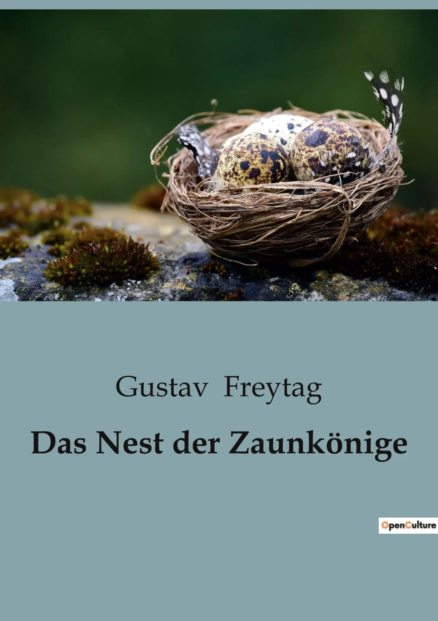 Cover: 9791041945757 | Das Nest der Zaunkönige | Gustav Freytag | Taschenbuch | 222 S. | 2023