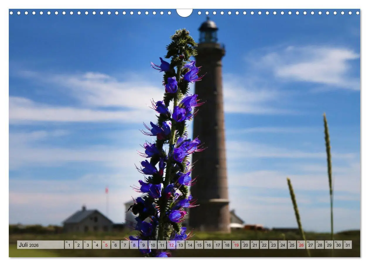 Bild: 9783457575857 | Skagen - Licht und Leben an Dänemarks Nordspitze (Wandkalender 2026...