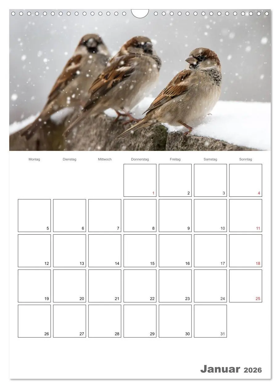 Bild: 9783516425857 | Vögel im heimischen Garten (Wandkalender 2026 DIN A3 hoch),...