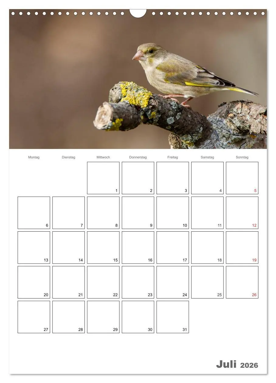 Bild: 9783516425857 | Vögel im heimischen Garten (Wandkalender 2026 DIN A3 hoch),...