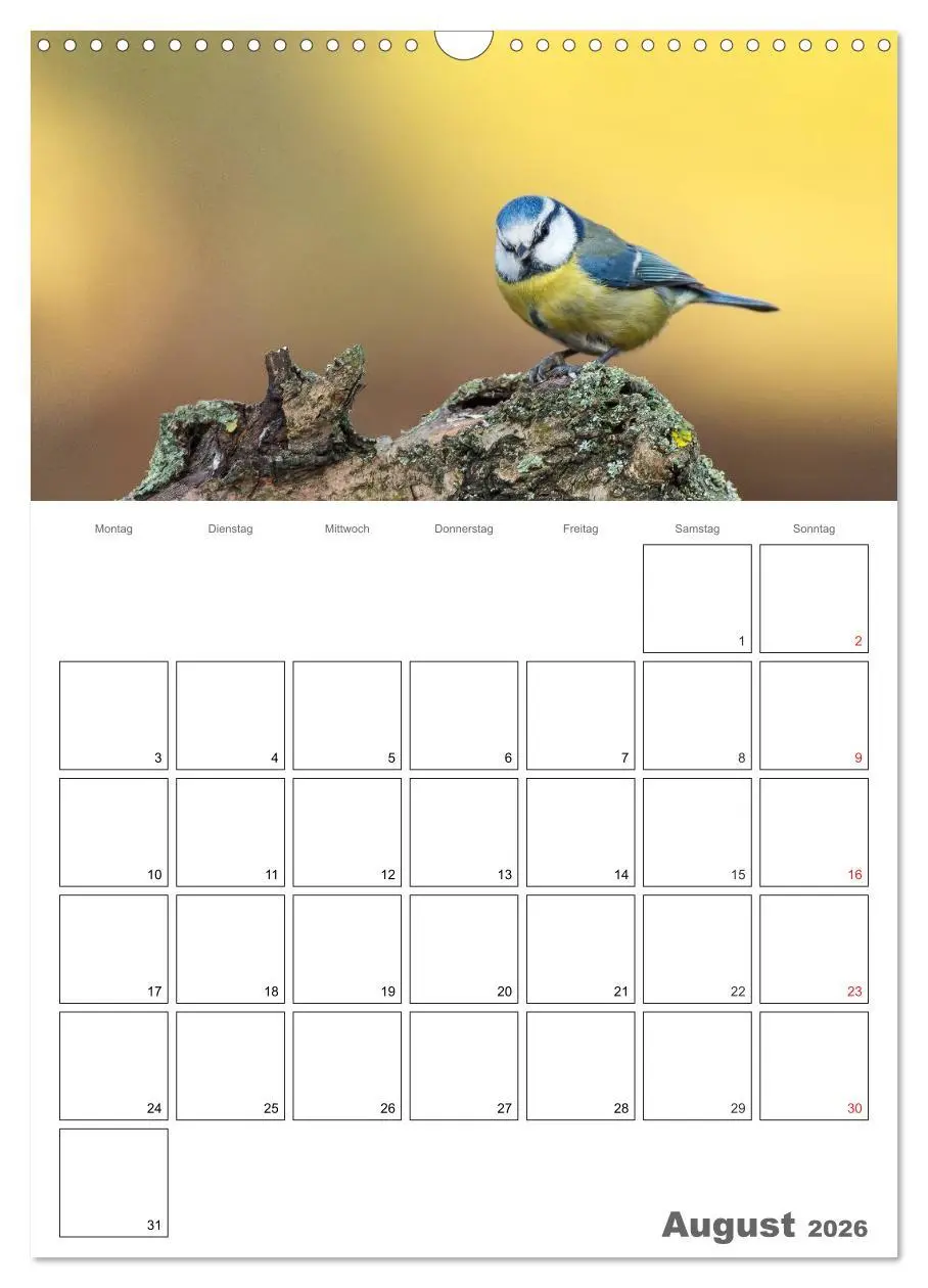 Bild: 9783516425857 | Vögel im heimischen Garten (Wandkalender 2026 DIN A3 hoch),...