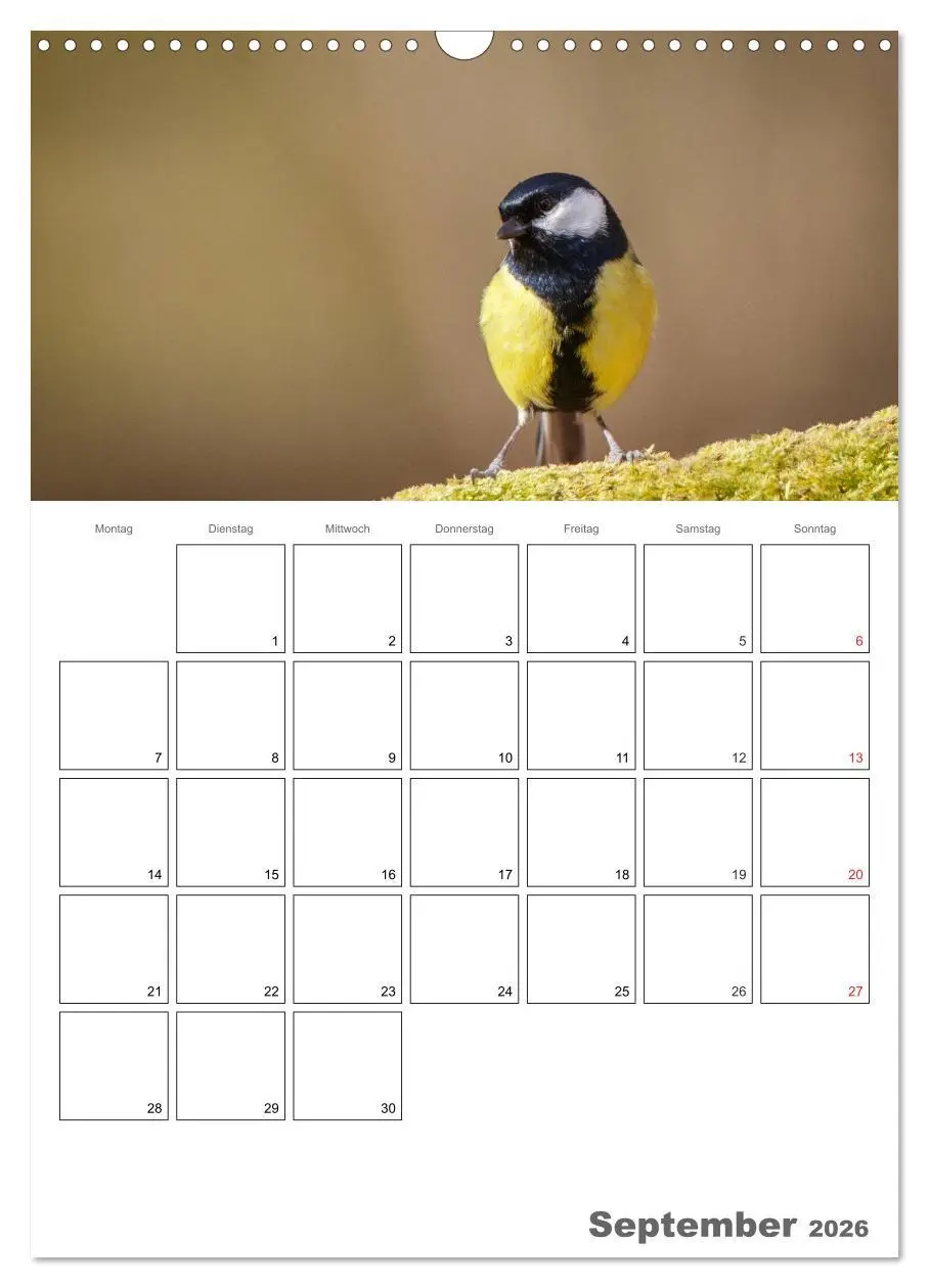 Bild: 9783516425857 | Vögel im heimischen Garten (Wandkalender 2026 DIN A3 hoch),...