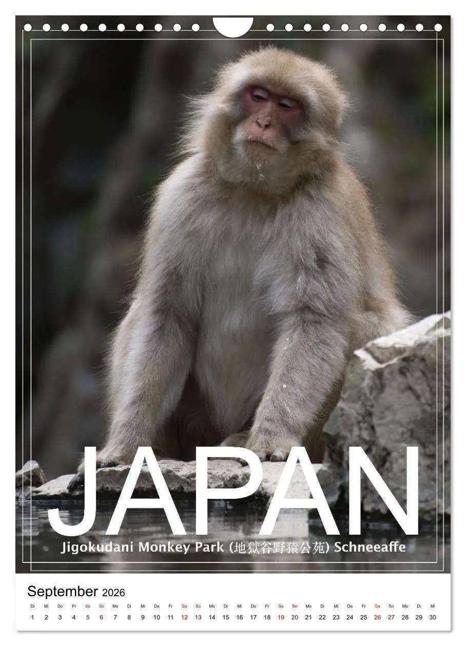Bild: 9783516735857 | Japan PosterArt 2024 (Wandkalender 2026 DIN A4 hoch), CALVENDO...