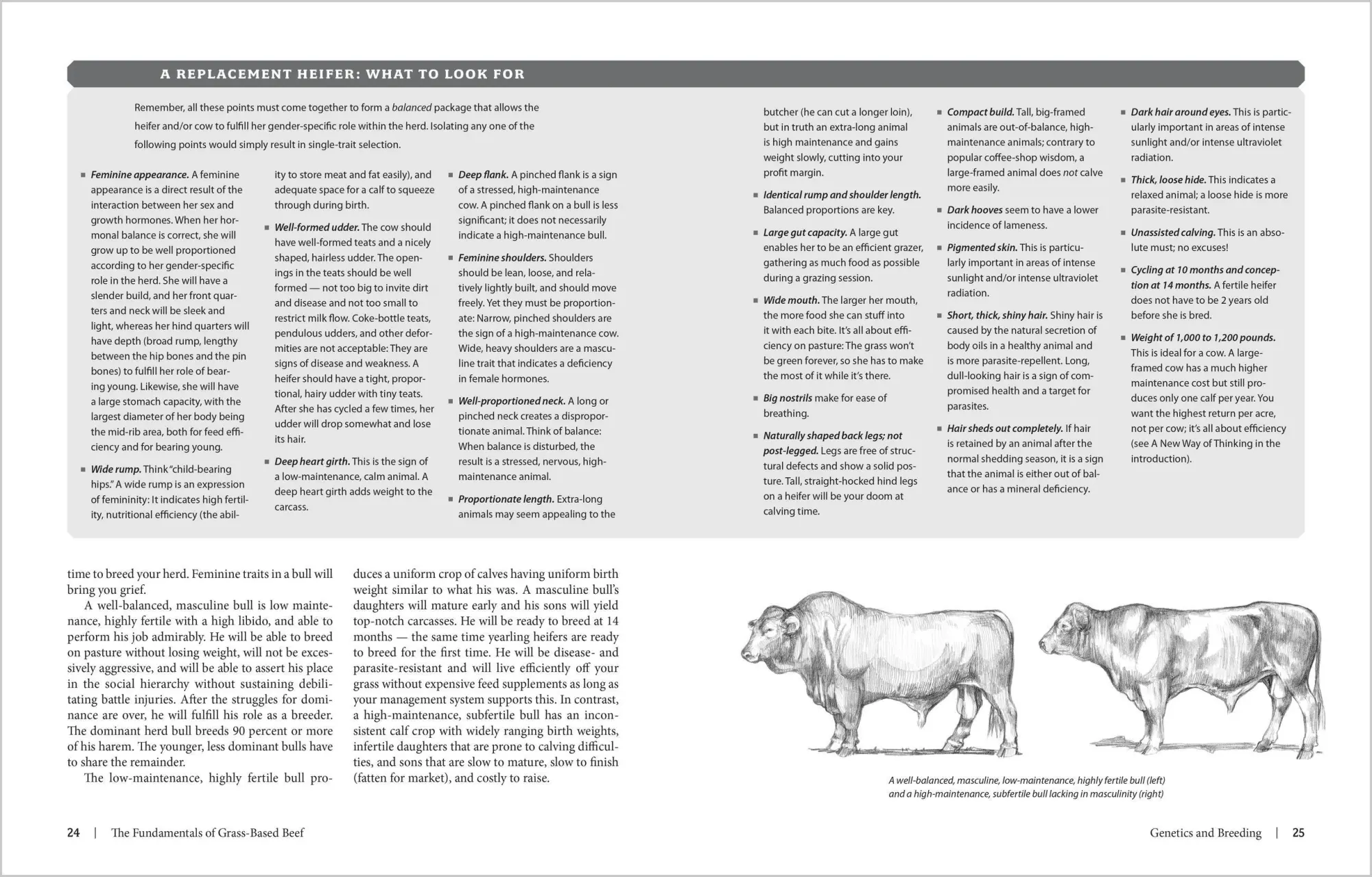Bild: 9781580176057 | Grass-Fed Cattle | How to Produce and Market Natural Beef | Ruechel