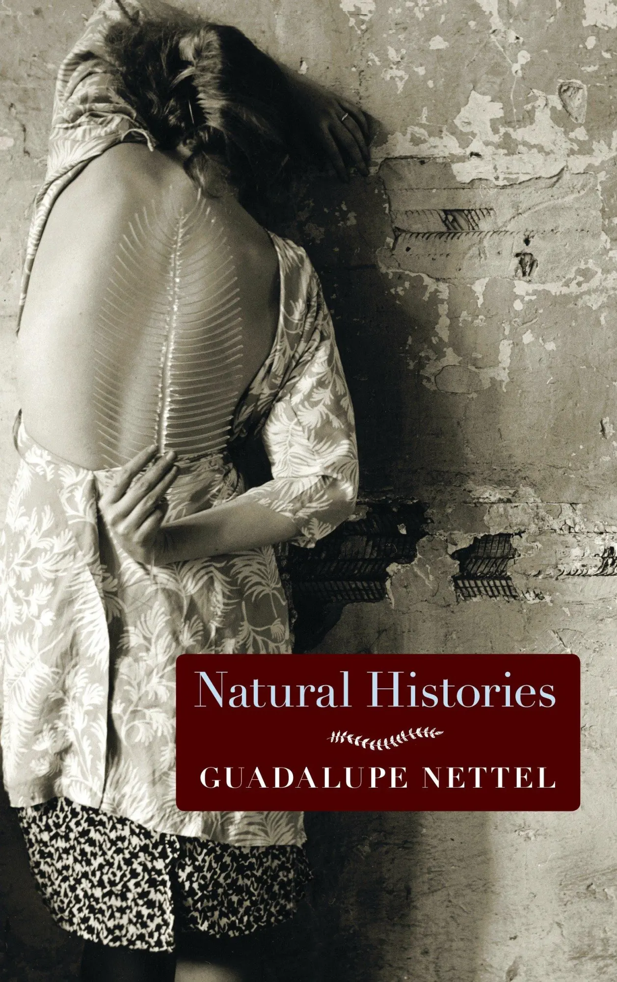 Cover: 9781609806057 | Natural Histories | Stories | Guadalupe Nettel | Taschenbuch | 2015