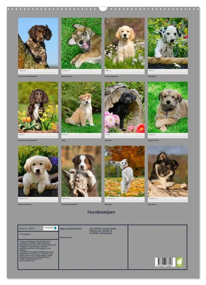 Bild: 9783457076057 | Hundewelpen (Wandkalender 2025 DIN A2 hoch), CALVENDO Monatskalender