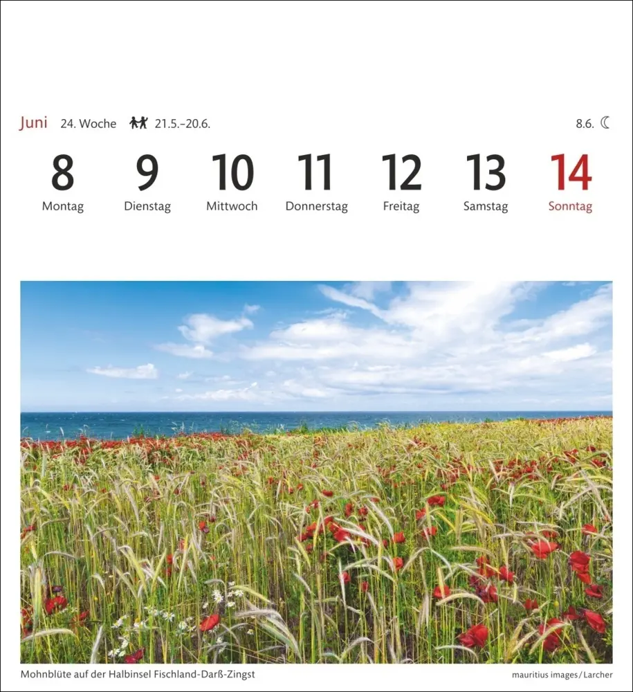 Bild: 9783840036057 | Ostseeküste Sehnsuchtskalender 2026 - Wochenkalender mit 53 Postkarten