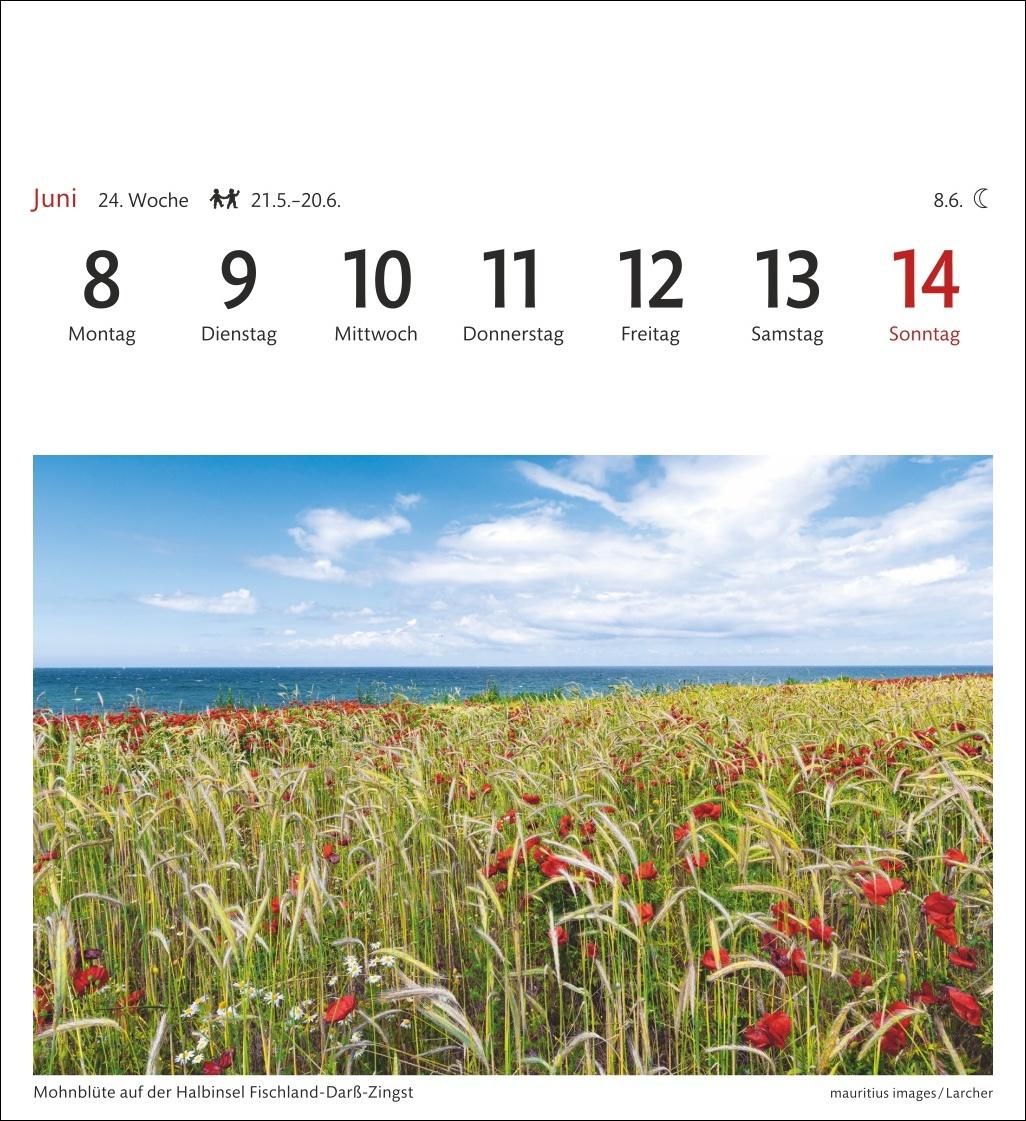 Bild: 9783840036057 | Ostseeküste Sehnsuchtskalender 2026 - Wochenkalender mit 53 Postkarten