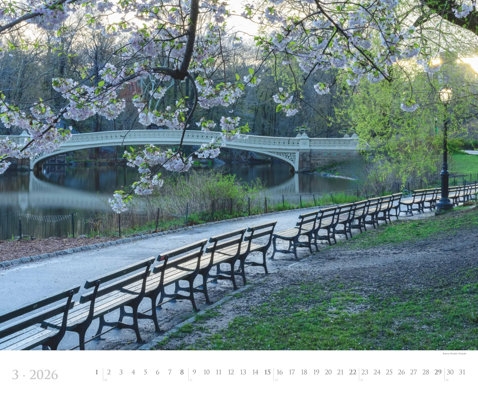 Bild: 4069095006157 | New York 2026 - Städte-Reise-Kalender - Querformat 60 x 50 cm -...