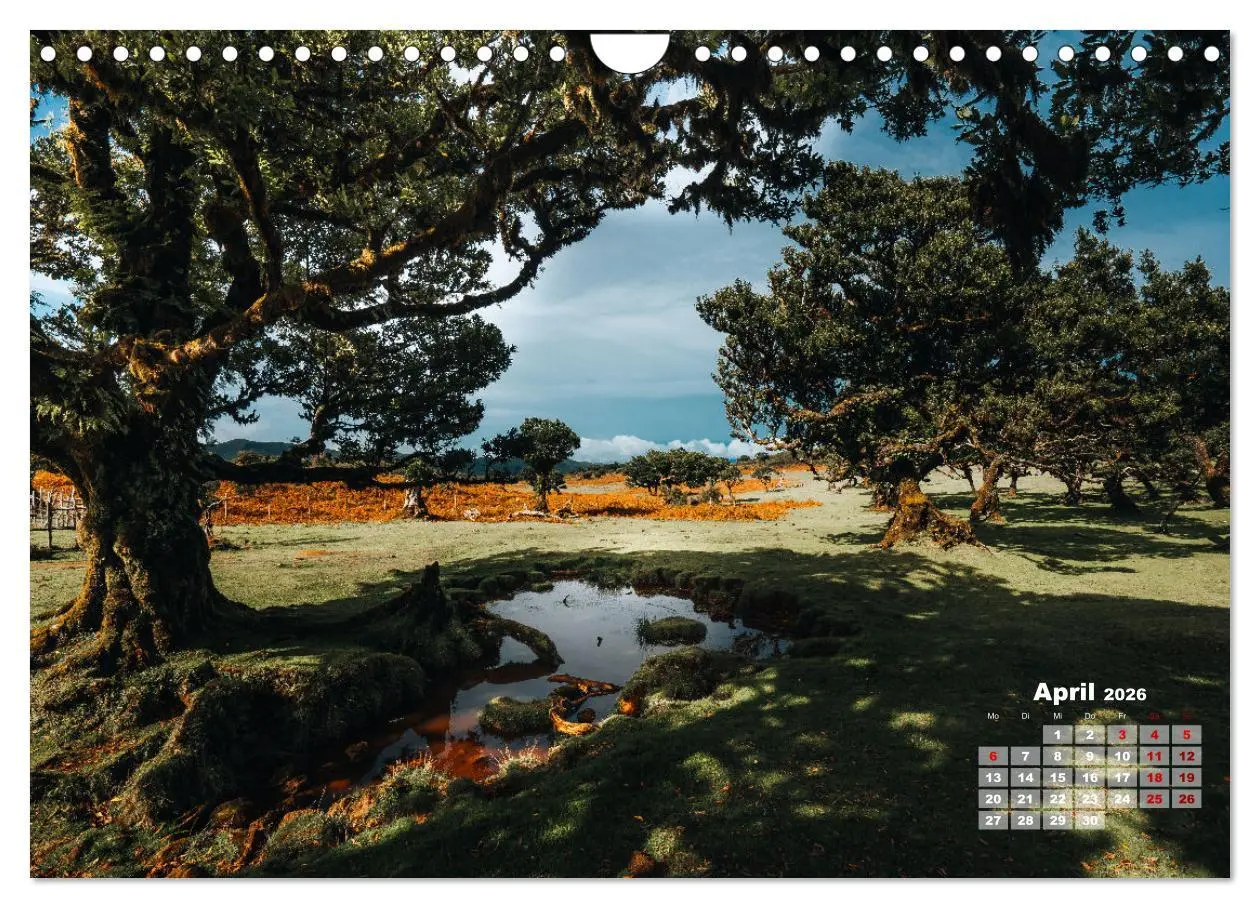 Bild: 9783457376157 | Trauminsel Madeira (Wandkalender 2026 DIN A4 quer), CALVENDO...