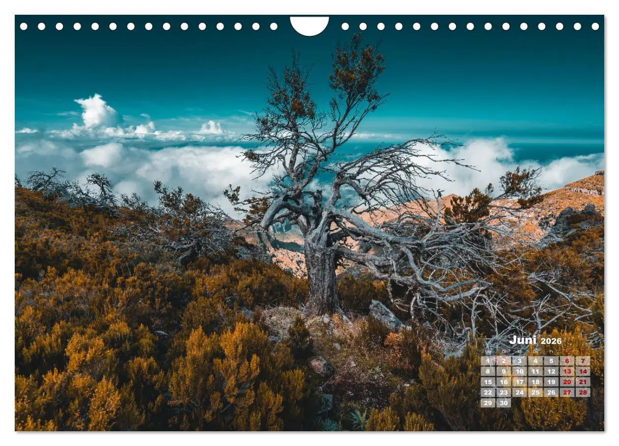 Bild: 9783457376157 | Trauminsel Madeira (Wandkalender 2026 DIN A4 quer), CALVENDO...