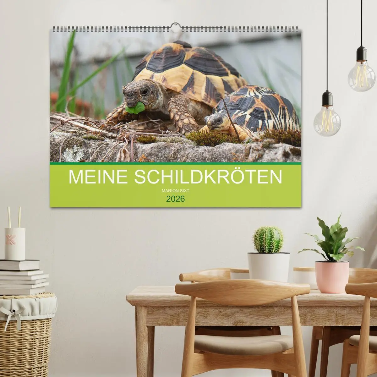 Bild: 9783457826157 | Meine Schildkröten (Wandkalender 2026 DIN A2 quer), CALVENDO...