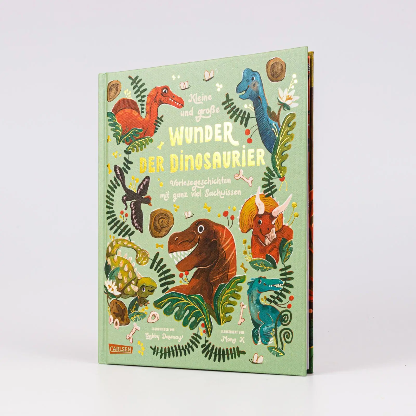 Bild: 9783551256157 | Kleine und große Wunder der Dinosaurier | Gabby Dawnay | Buch | 96 S.