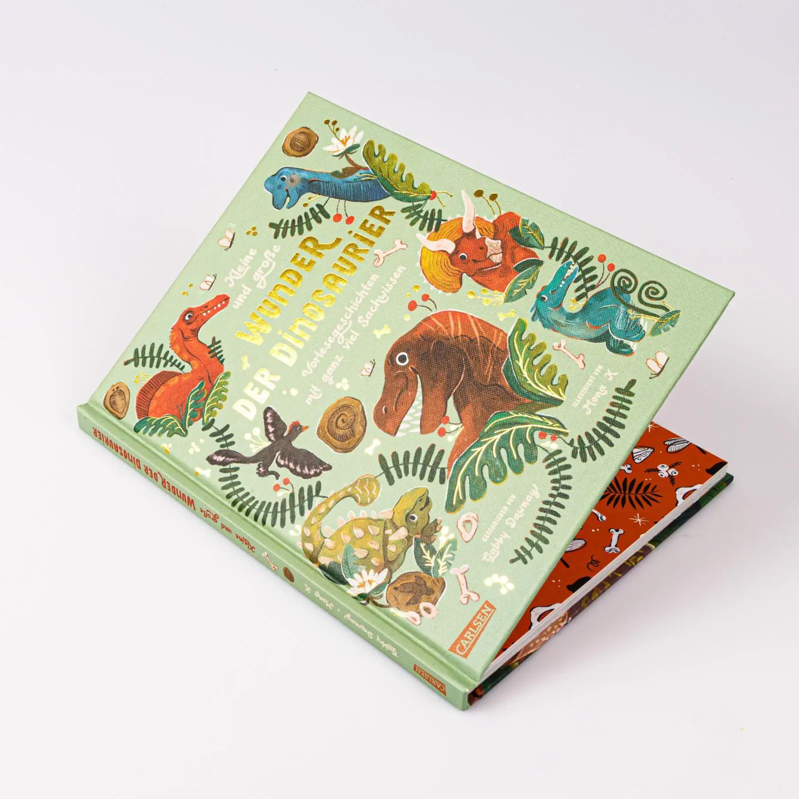 Bild: 9783551256157 | Kleine und große Wunder der Dinosaurier | Gabby Dawnay | Buch | 96 S.