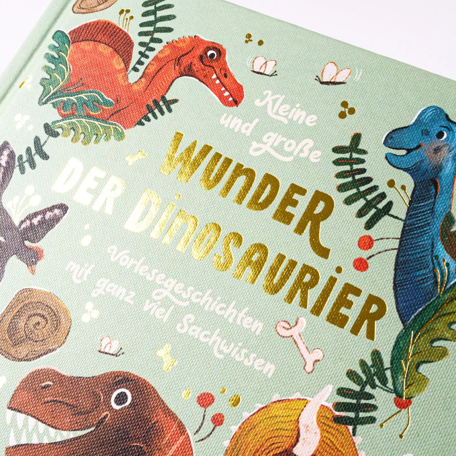 Bild: 9783551256157 | Kleine und große Wunder der Dinosaurier | Gabby Dawnay | Buch | 96 S.