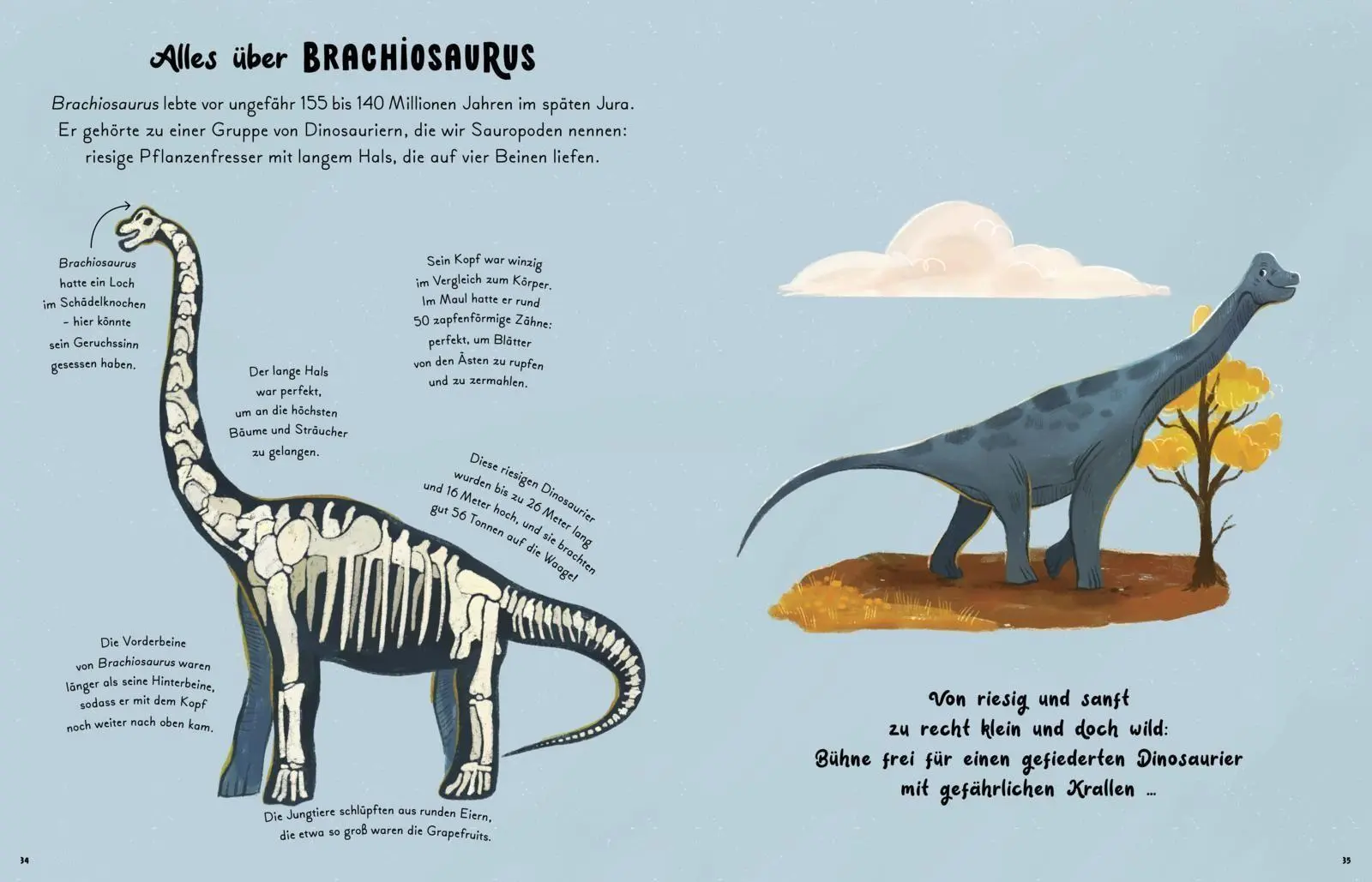 Bild: 9783551256157 | Kleine und große Wunder der Dinosaurier | Gabby Dawnay | Buch | 96 S.