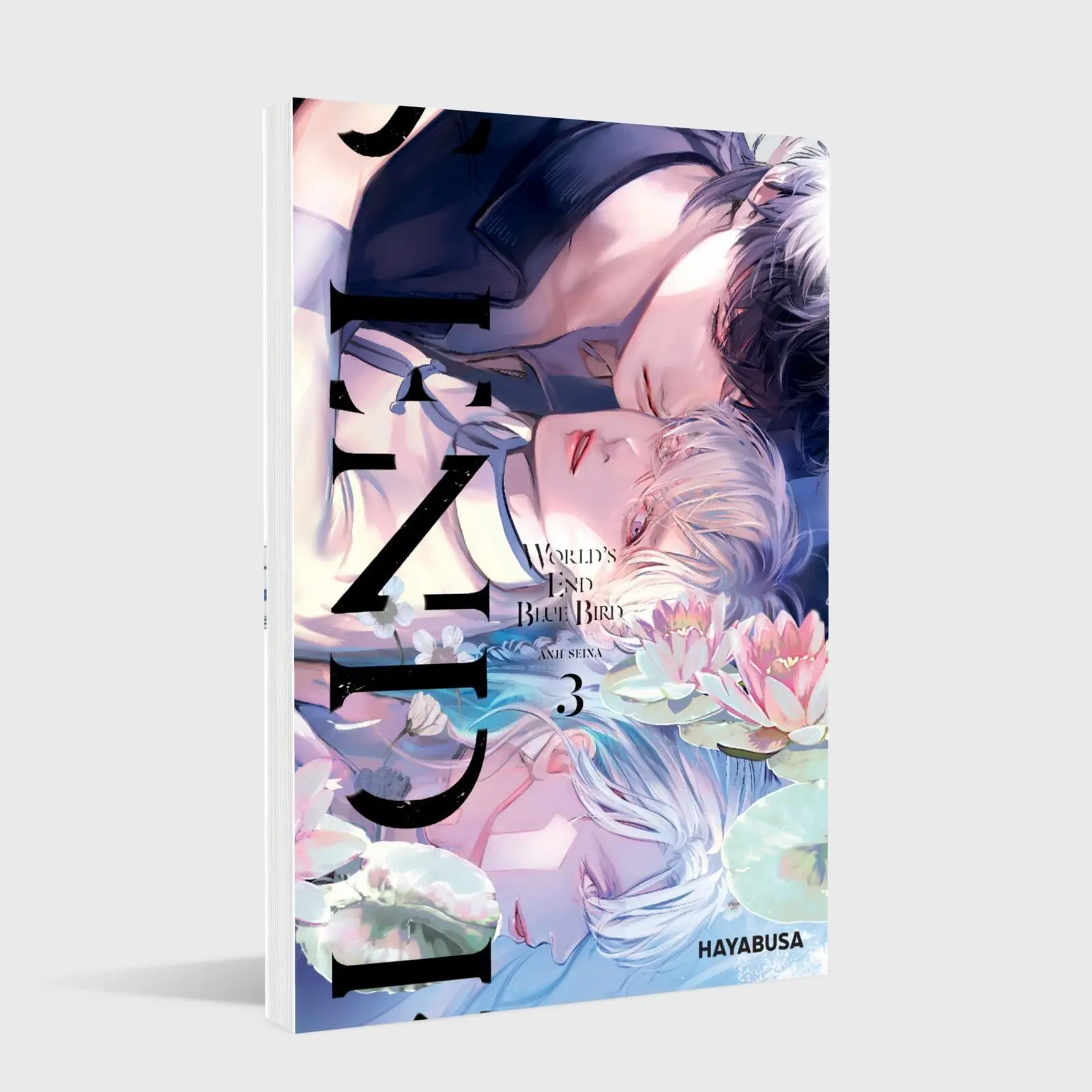Bild: 9783551626257 | World's End Blue Bird 3 | Anji Seina | Taschenbuch | 194 S. | Deutsch