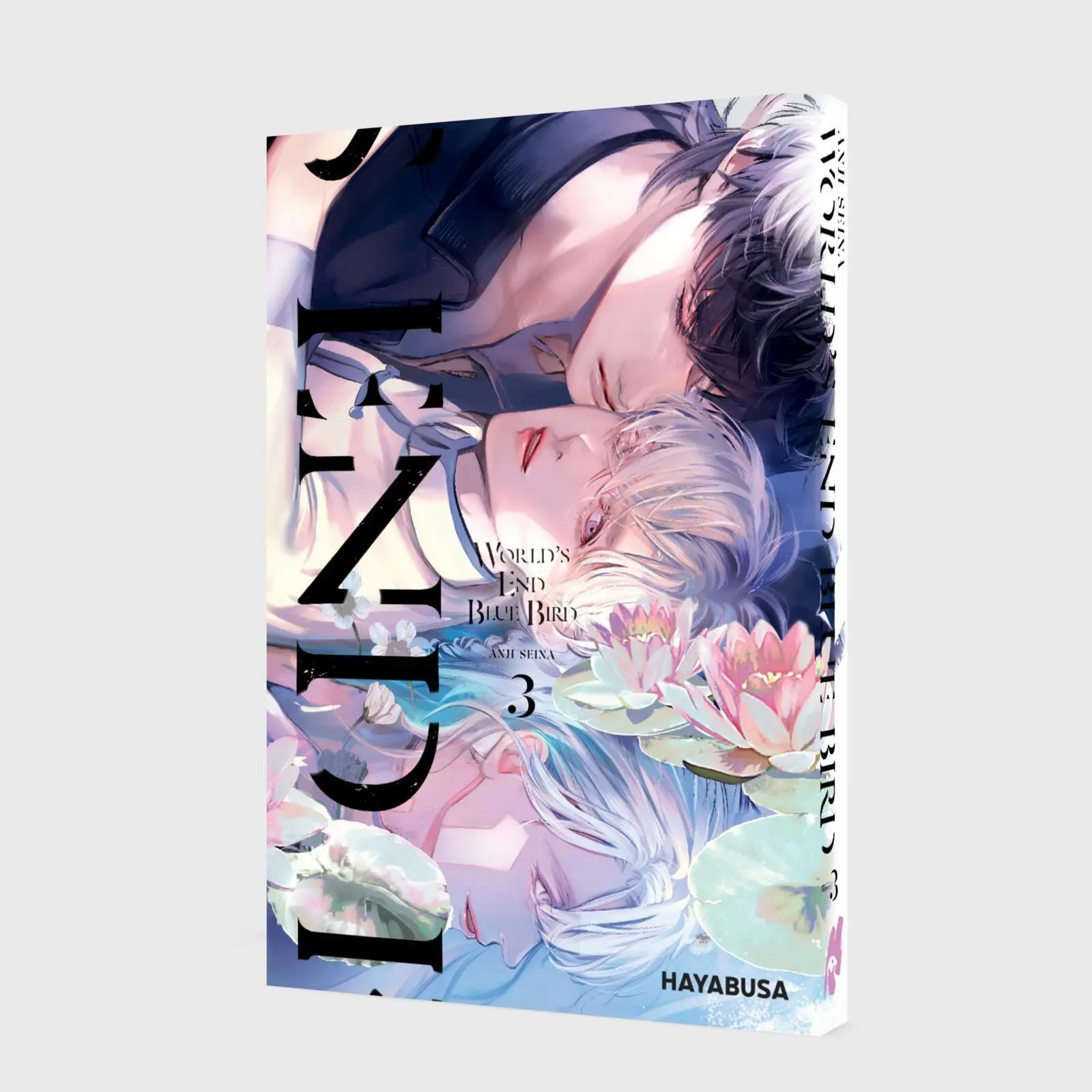 Bild: 9783551626257 | World's End Blue Bird 3 | Anji Seina | Taschenbuch | 194 S. | Deutsch