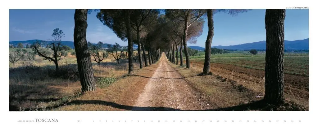 Bild: 9783832026257 | Toscana - Kalender immerwährend | Kalender | Spiralbindung | Deutsch
