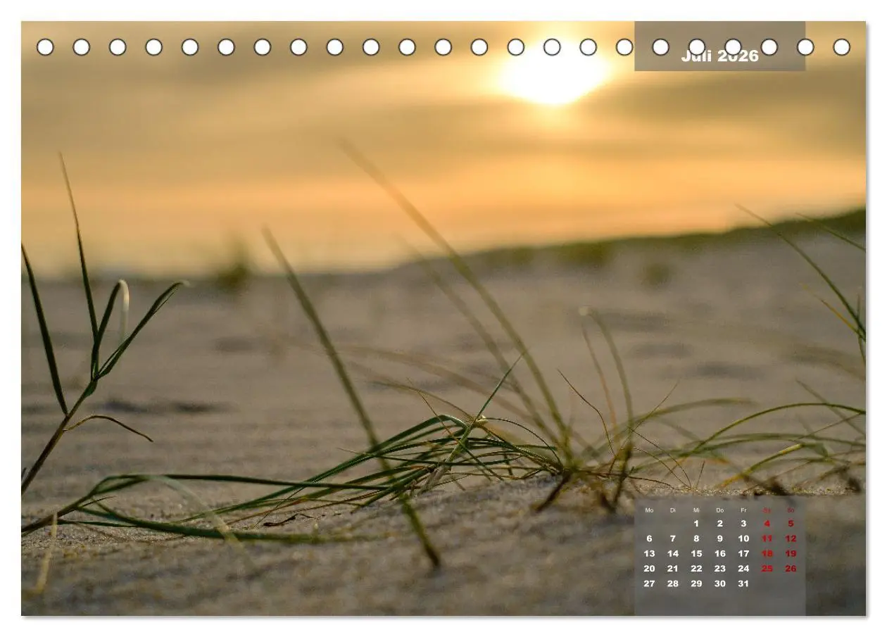 Bild: 9783457596357 | feeling Sylt (Tischkalender 2026 DIN A5 quer), CALVENDO Monatskalender