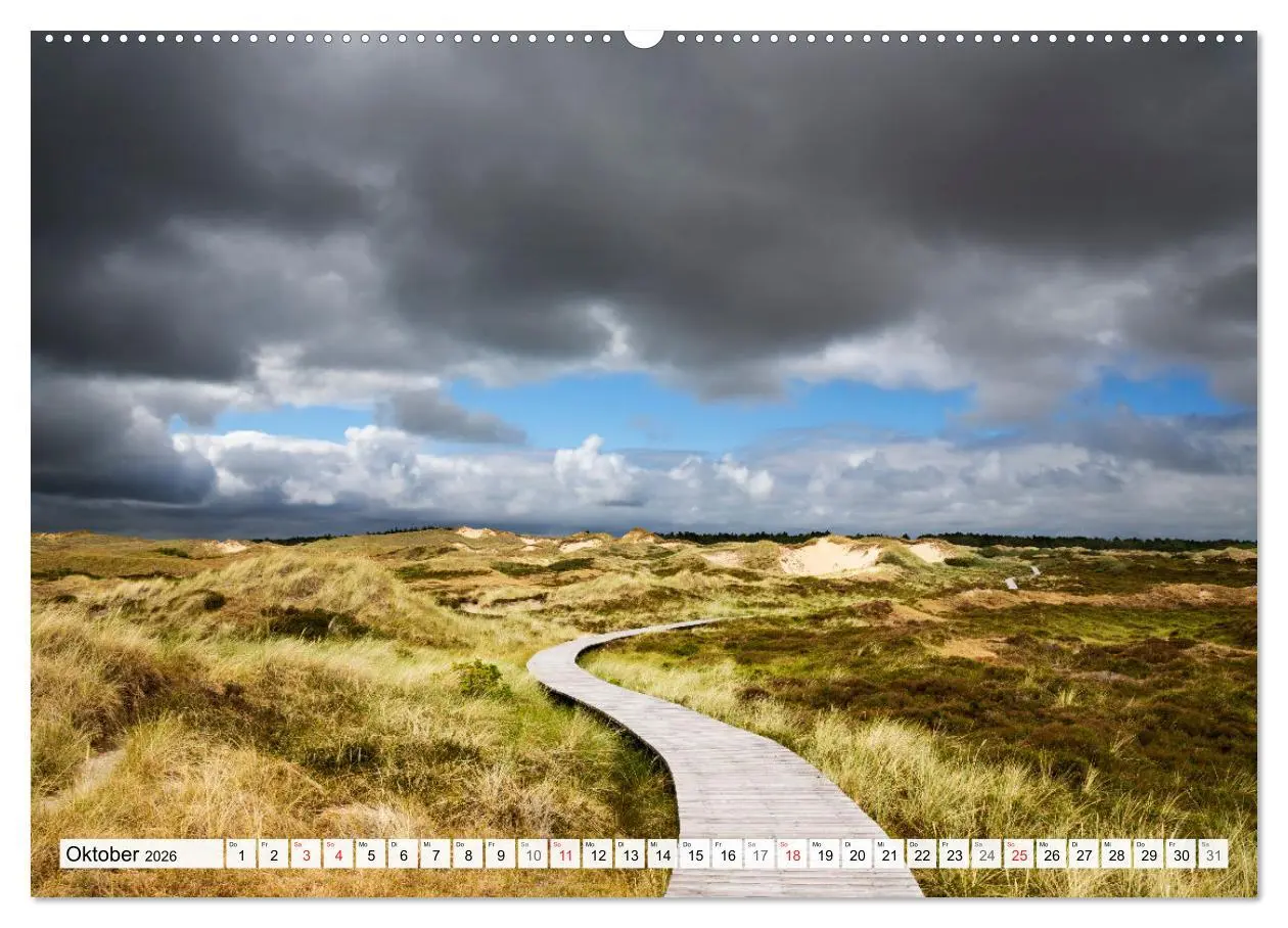 Bild: 9783516066357 | Amrum. Natur und Landschaften (hochwertiger Premium Wandkalender...