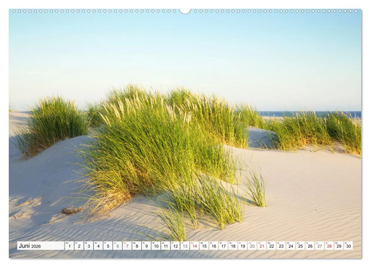 Bild: 9783516066357 | Amrum. Natur und Landschaften (hochwertiger Premium Wandkalender...