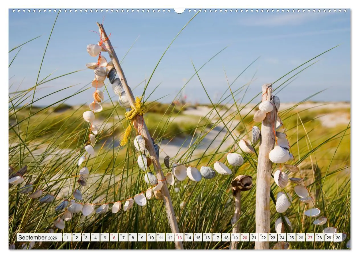 Bild: 9783516066357 | Amrum. Natur und Landschaften (hochwertiger Premium Wandkalender...