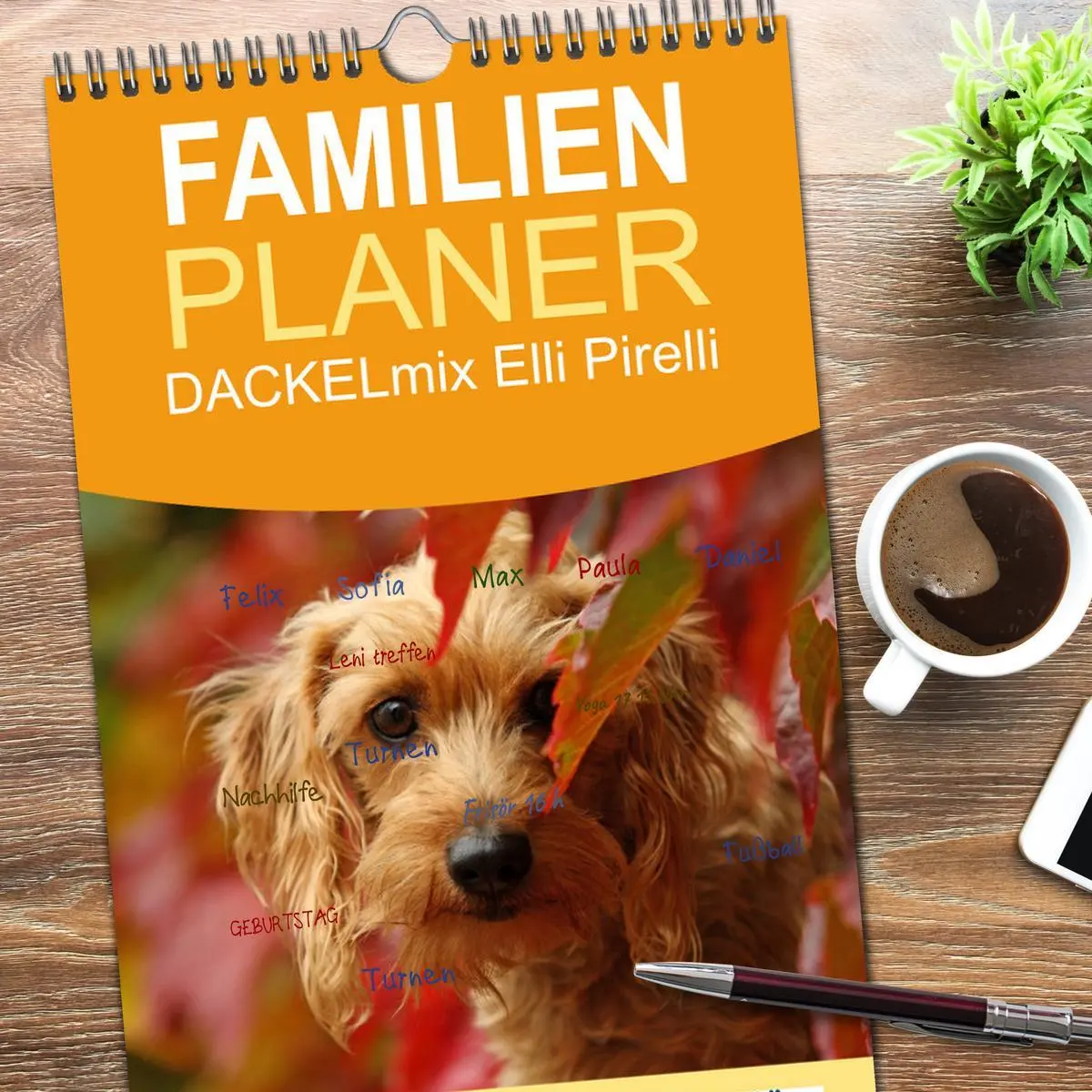 Bild: 9783516516357 | Familienplaner 2026 - DACKELmix Elli Pirelli mit 5 Spalten...
