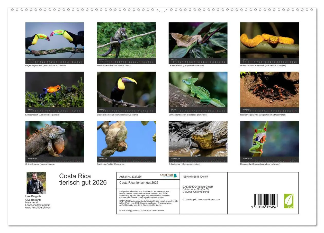 Bild: 9783516126457 | Costa Rica tierisch gut 2026 (hochwertiger Premium Wandkalender...