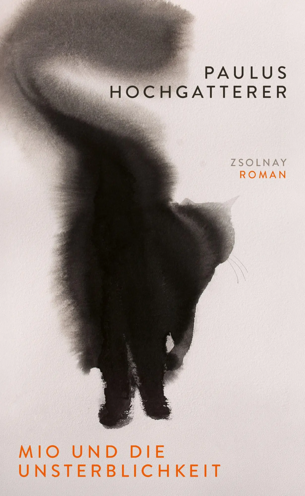 Cover: 9783552076457 | Mio und die Unsterblichkeit | Roman | Paulus Hochgatterer | Buch