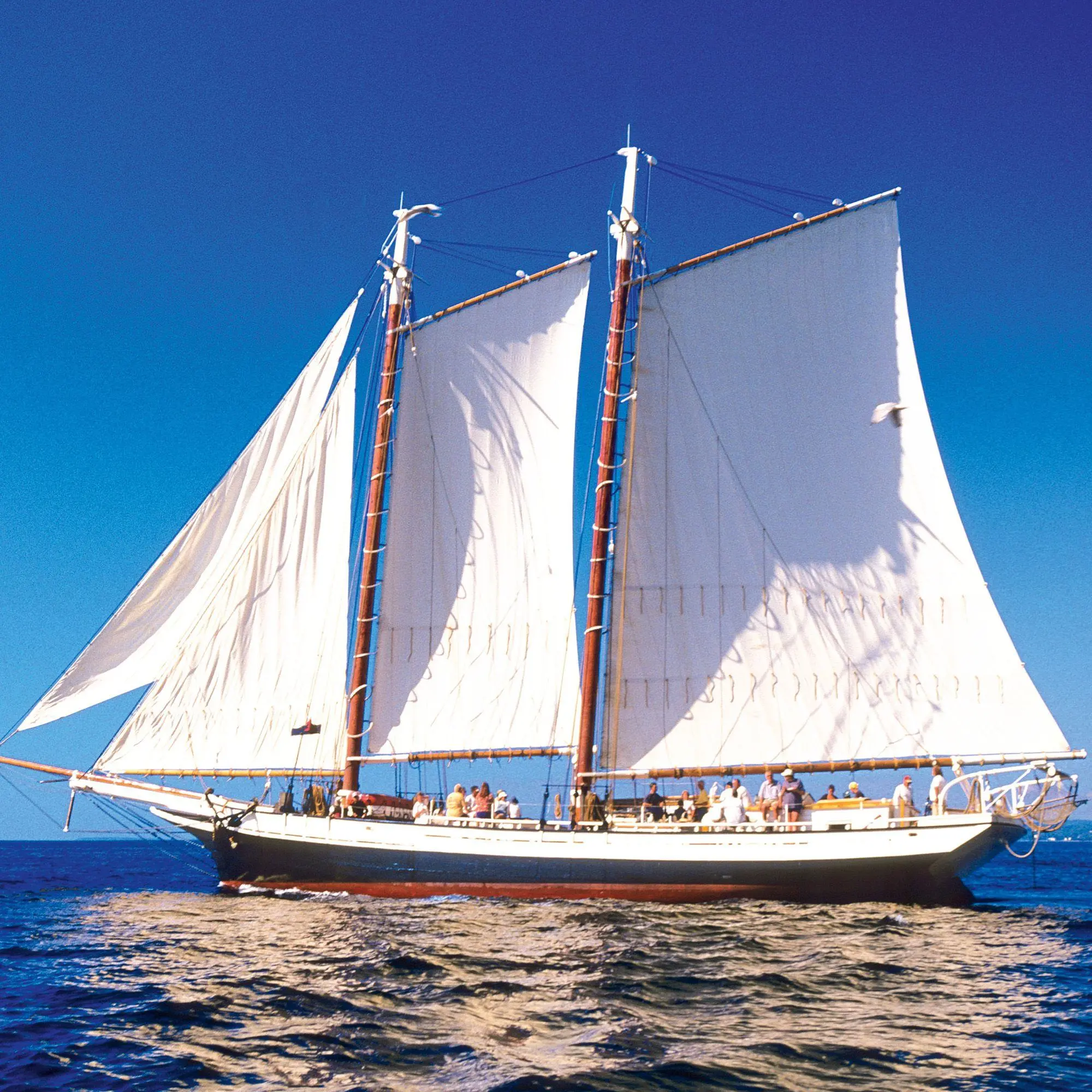 Bild: 9783959296557 | Sailing Tall Boats 2027 | Kalender 2027 | Kalender | Wonderful World
