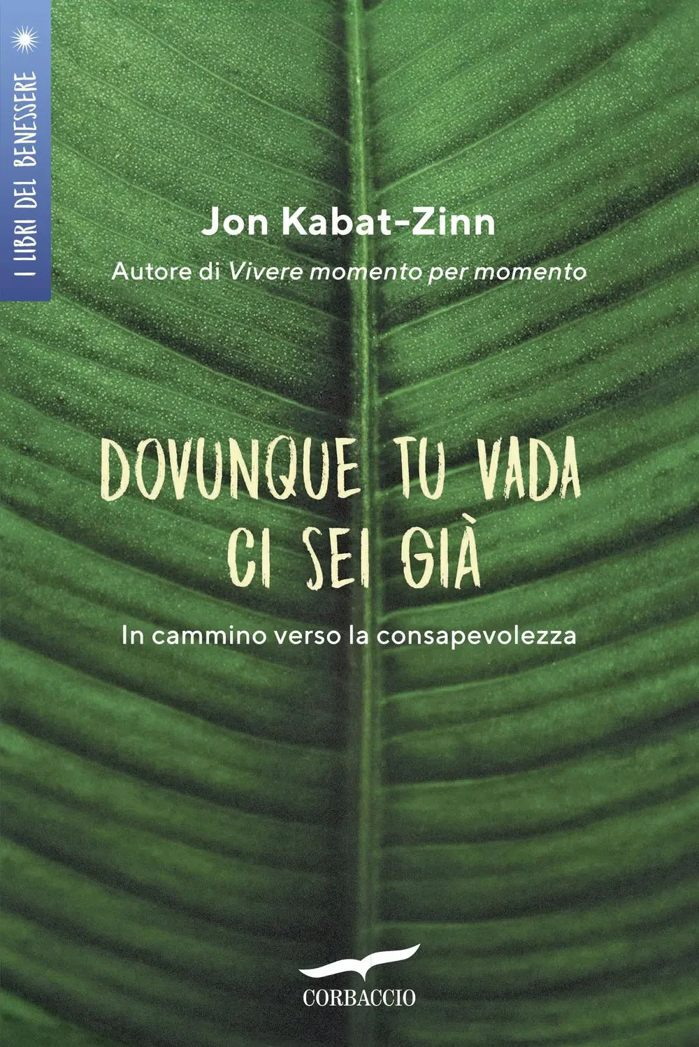 Cover: 9788867006557 | Dovunque tu vada ci sei già. In cammino verso la consapevolezza | Buch