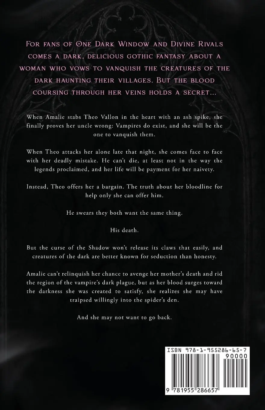 Rückseite: 9781955286657 | To Vanquish Darkness | Cindy Gunderson | Taschenbuch | Englisch | 2024