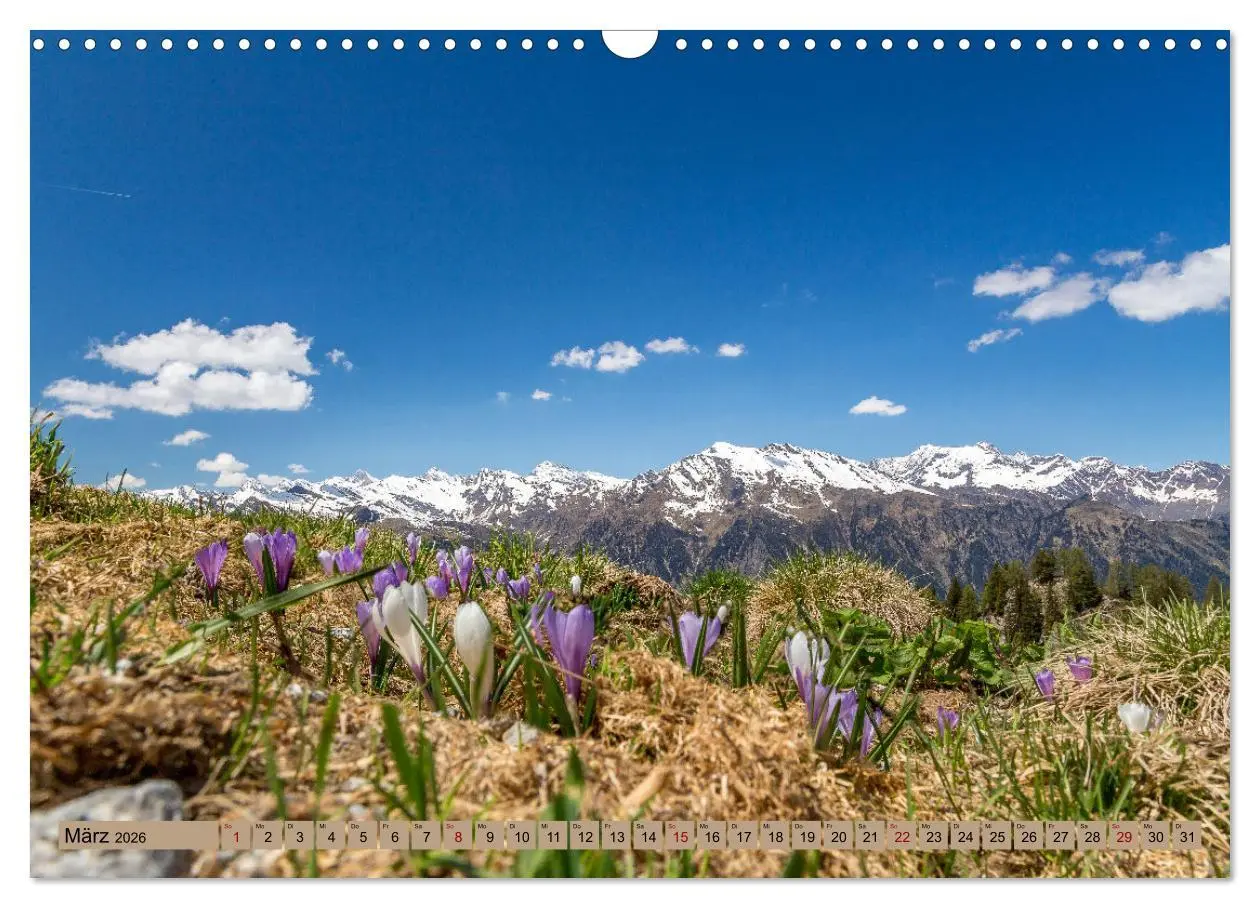 Bild: 9783457496657 | Südtirol - Meraner Land (Wandkalender 2026 DIN A3 quer), CALVENDO...