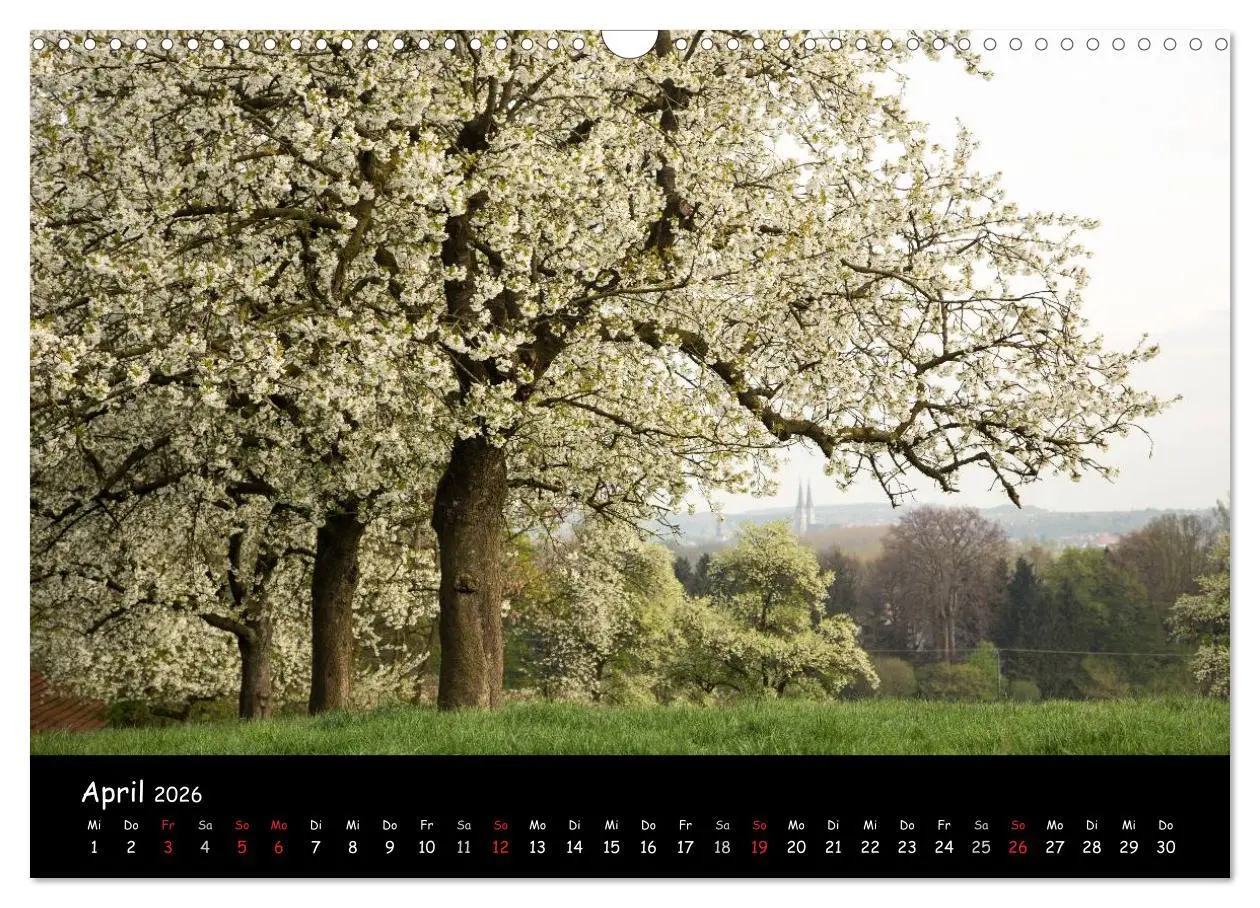 Bild: 9783516106657 | Billerbeck - Perle der Baumberge (Wandkalender 2026 DIN A3 quer),...