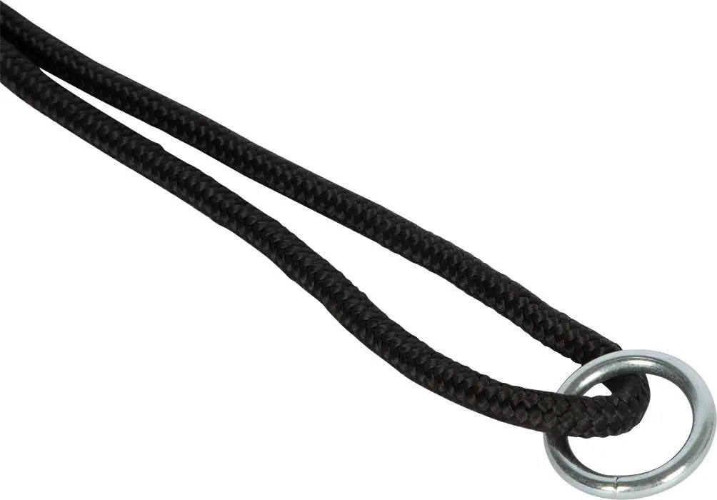 Bild: 4020972126757 | Trapezschaukel Twist "Black Line | 12675 | Deutsch | 2025