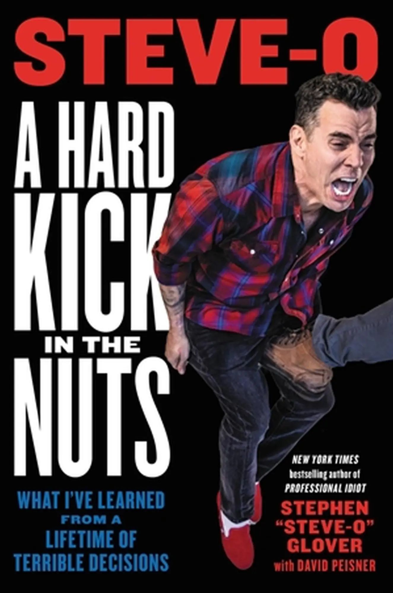 Cover: 9780306826757 | A Hard Kick in the Nuts | Stephen Steve-O Glover | Buch | Gebunden