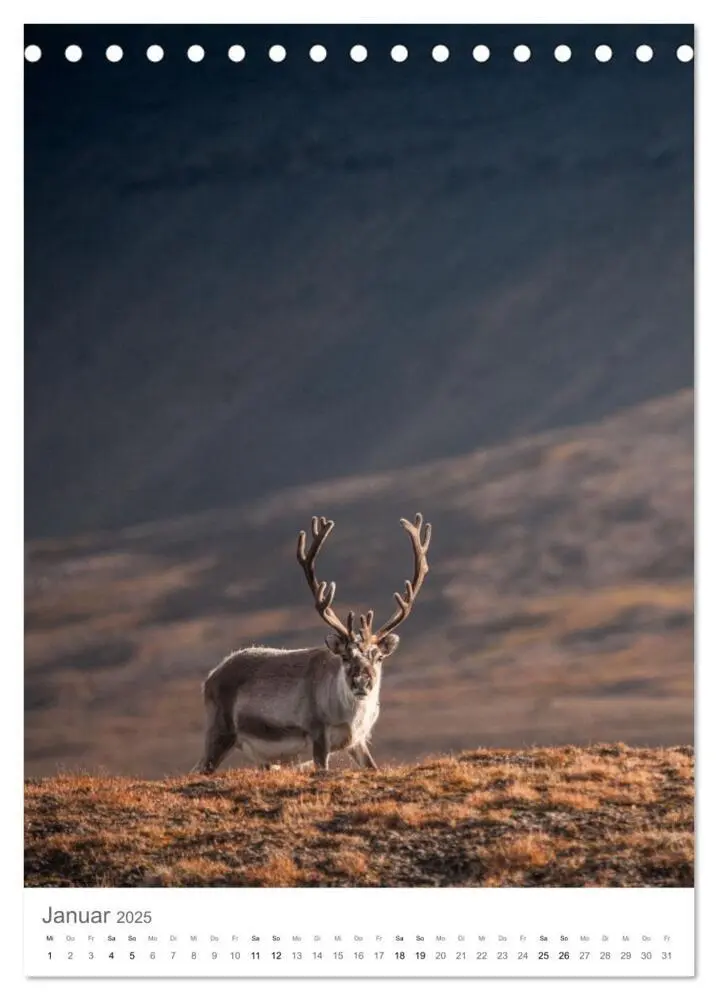 Bild: 9783435846757 | Die Arktis - Naturfotografien aus Spitzbergen (Tischkalender 2025...