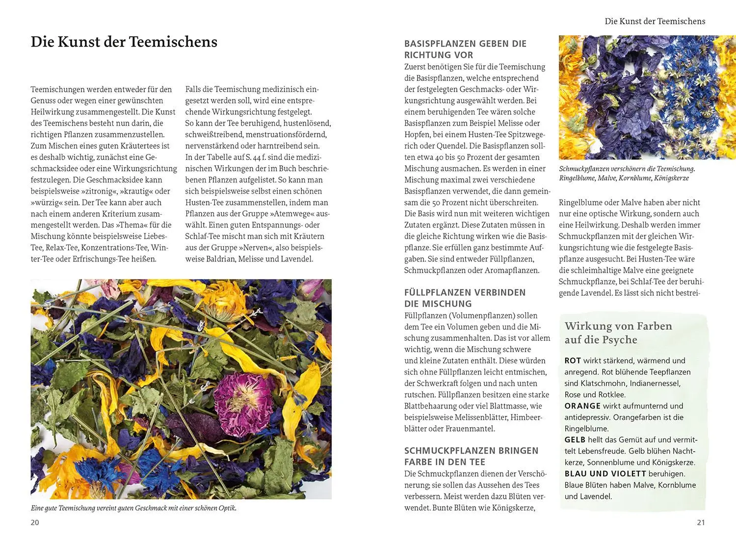 Bild: 9783440176757 | Tee aus Kräutern und Früchten | Rudi Beiser | Taschenbuch | 196 S.